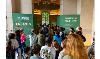 Musée des enfants #1 : Grandeur Nature