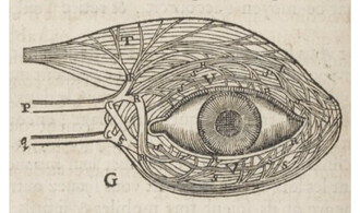 [Muzzix] LUN19h | OKKIO! & Veillée haut-parlante