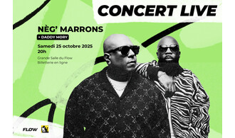 Nèg' Marrons [concert]