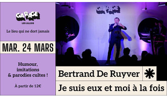 One man show à lille - Bertrand De Ruyver à Lille