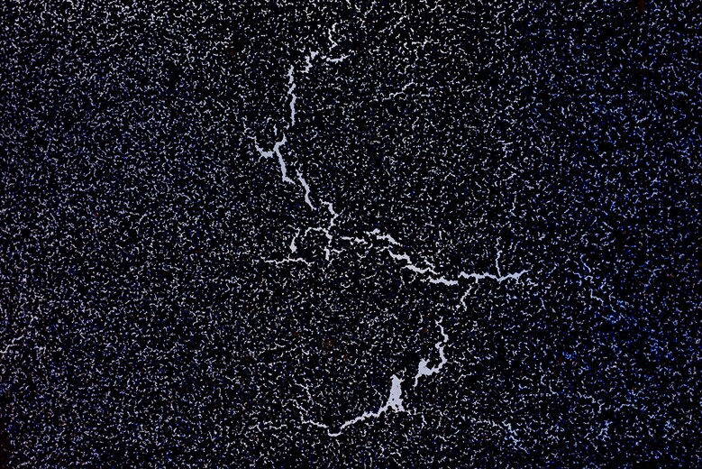 Orbites