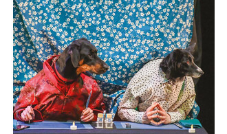 Ouiiiii | Cie des Plumés