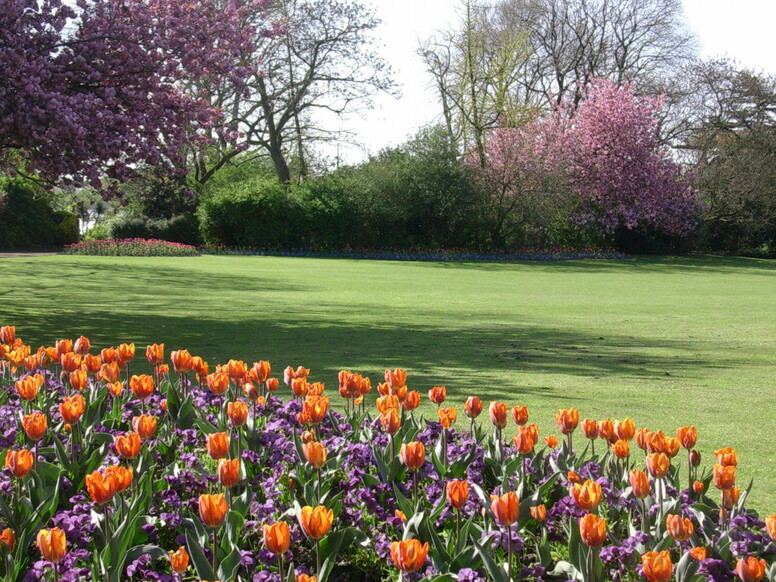 Partage de savoirs : le jardins des plantes