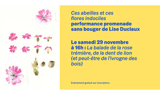 Performance promenade sans bouger de Lise Duclaux