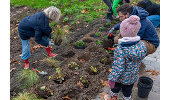 Plantation au nouveau jardin familial Félicie Hervieu (square des Mères)