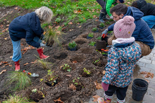 Plantation au nouveau jardin familial Félicie Hervieu (square des Mères)