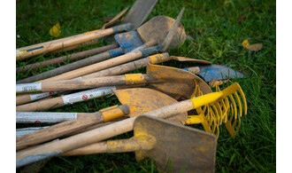 Plantation citoyenne