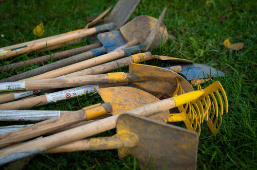 Plantation citoyenne