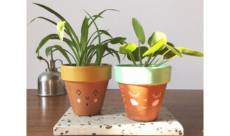 Plantes-potes • avec Caroline Pluijgers / Wundertüte