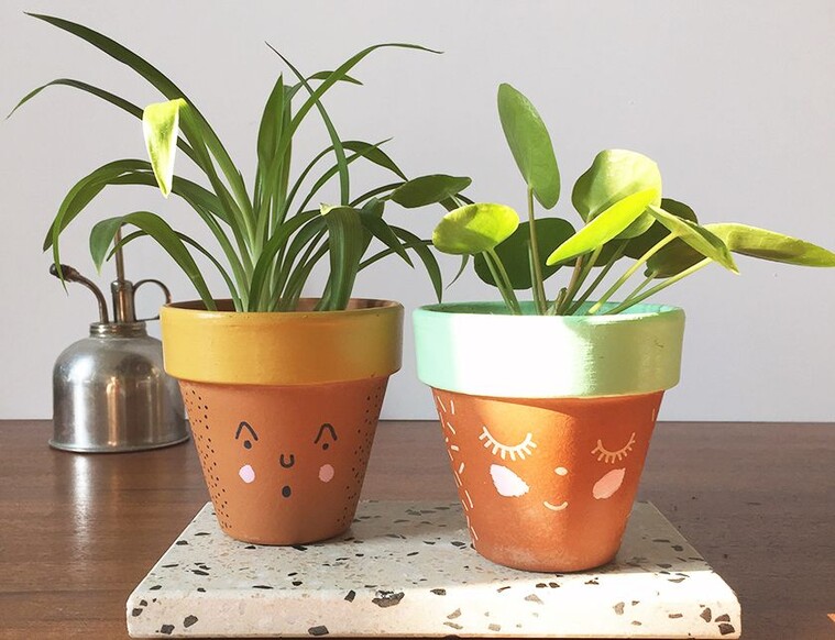 Plantes-potes • avec Caroline Pluijgers / Wundertüte