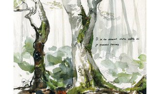 PRENDRE FORÊT