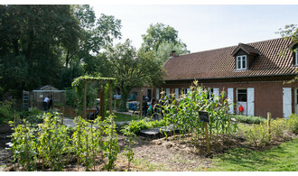 Prenons soin du potager
