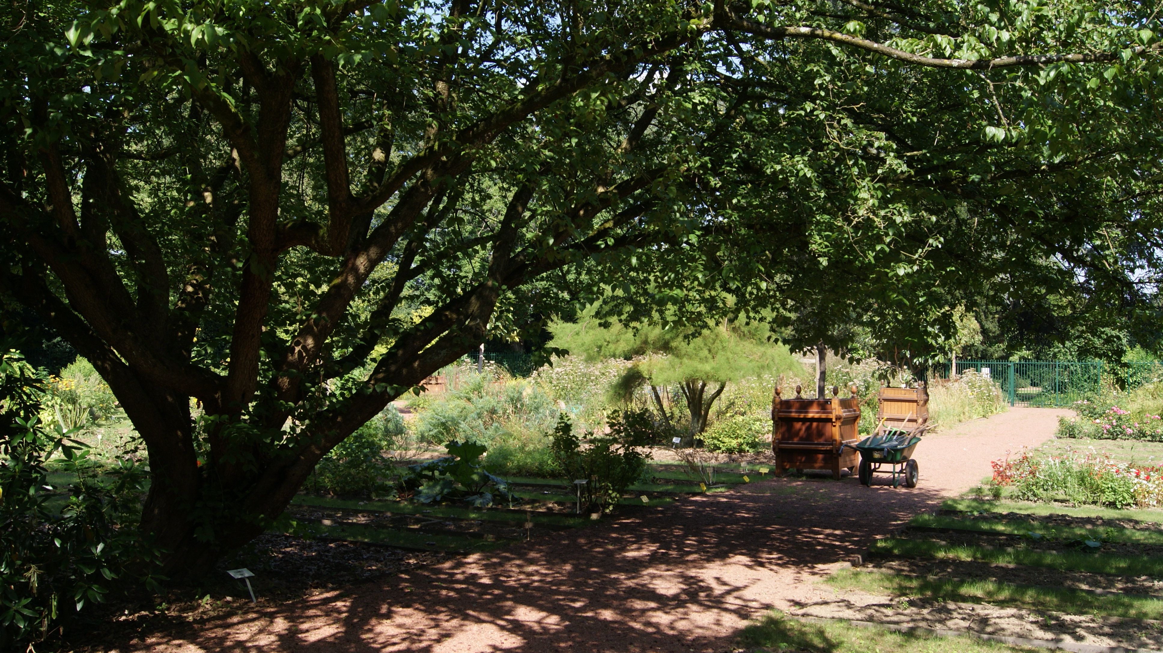 Que Faire Au Jardin En Ce Moment Evenements Ville De Lille Adresses Horaires Calendriers Et Histoire