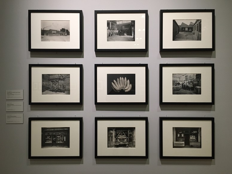 Regard ludique sur l'exposition " L'atelier Pasquero " au musée de l'Hospice Comtesse