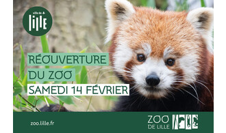Samedi 14 février : le zoo rouvre ses portes !