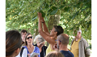 Sauvages de ma rue, bienfaits et usages des plantes pour l'Homme et la Nature