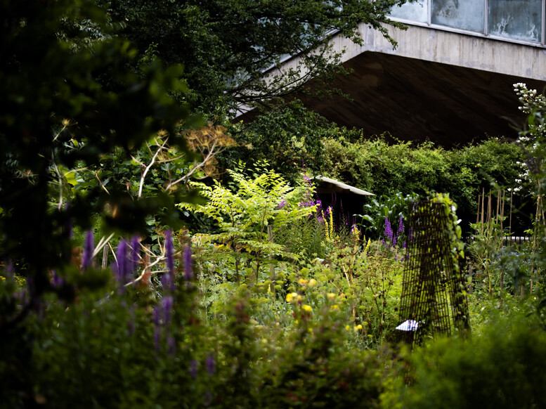 Secrets de plantes