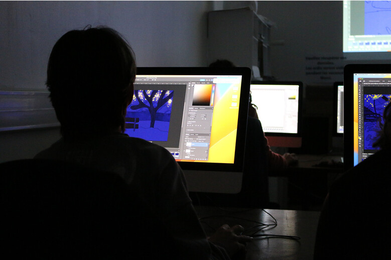 Stage adulte - PAO, Indesign, Photoshop, Illustrator