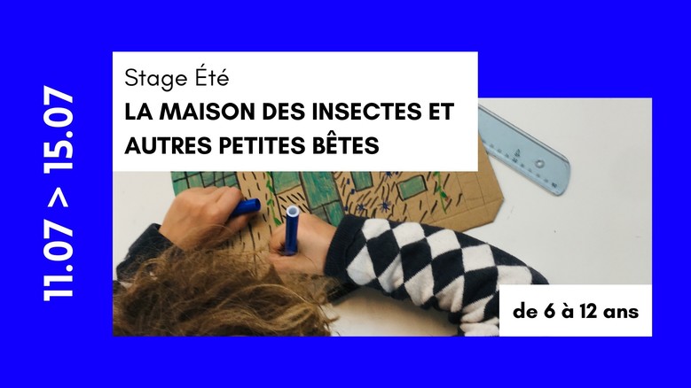 Stage été - La maison des insectes et autres petites bêtes