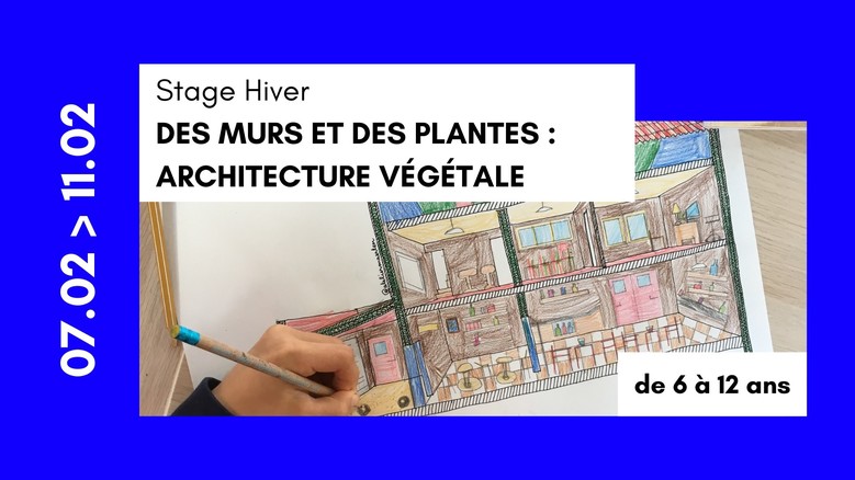 Stage hiver - Des murs et des plantes : architecture végétale