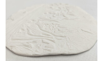 Stage "Peau Paysage"