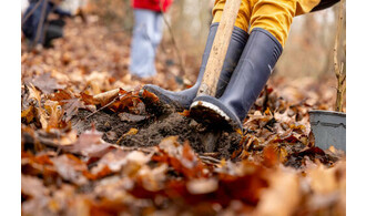 Venez planter des arbres à la Citadelle de Lille