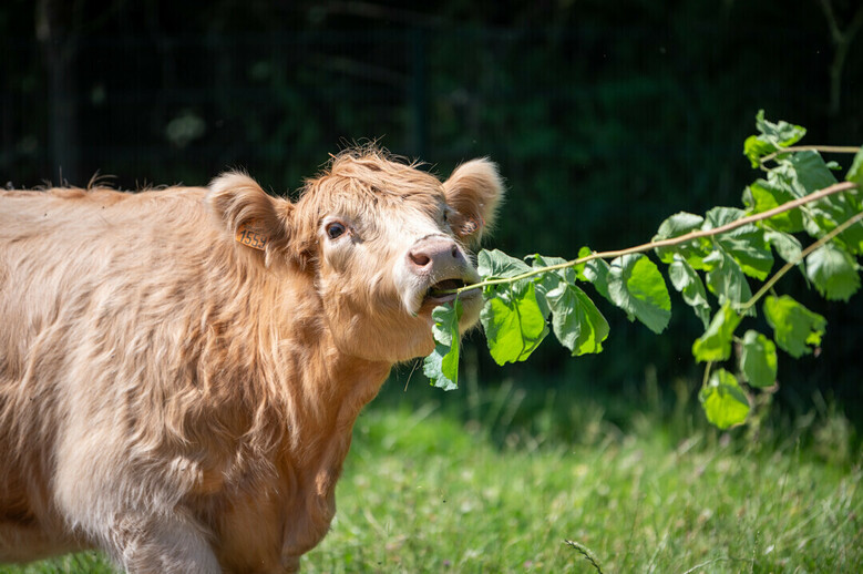Visite découverte et sensorielle