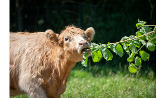 Visite découverte et sensorielle