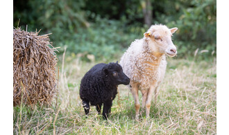 Visite découverte sensorielle