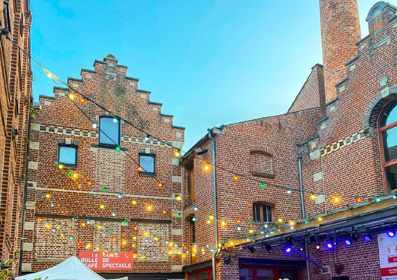 Visite guidée adaptée de la maison Folie Moulins