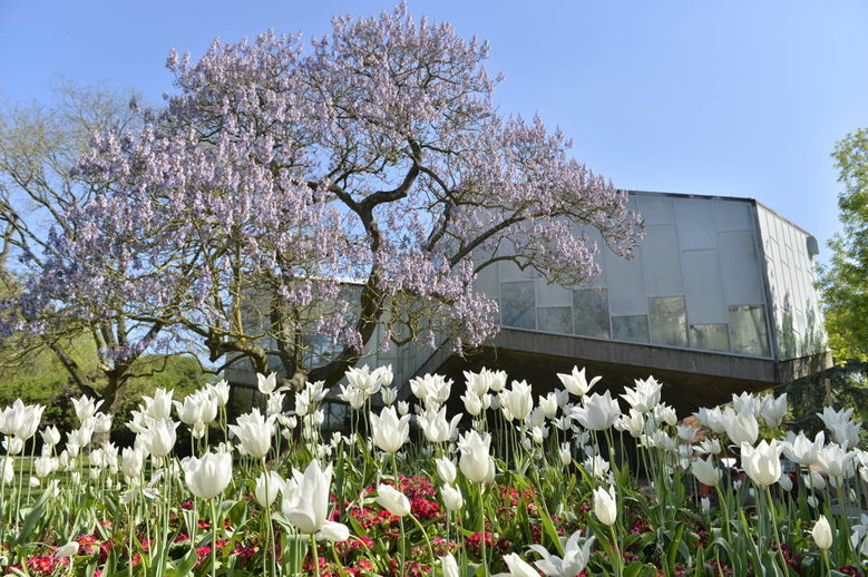 Visite guidée du Jardin des Plantes