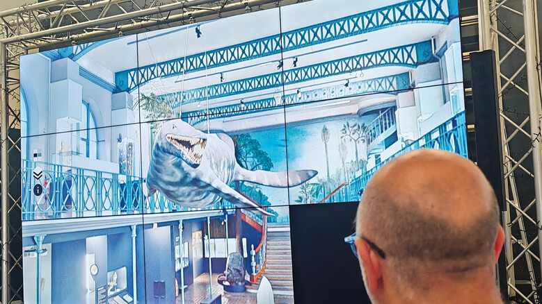 Visite virtuelle commentée - Visite le Musée d’histoire naturelle !