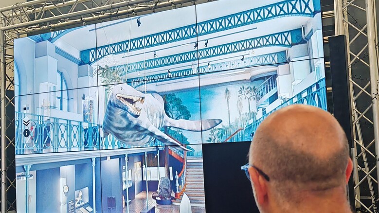 Visite virtuelle / Le muséum en boîte