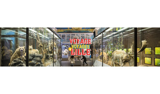 Voyage Voyage au Musée d'histoire naturelle de Lille !