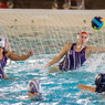 Water-polo : LUC - Toulon