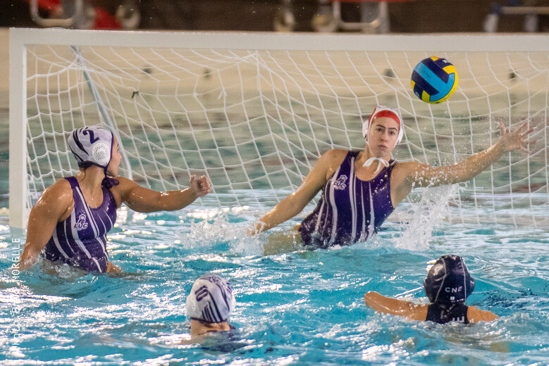 Water-polo : LUC - Toulon