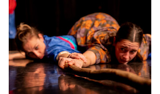 Zonardes – LABO Compagnie