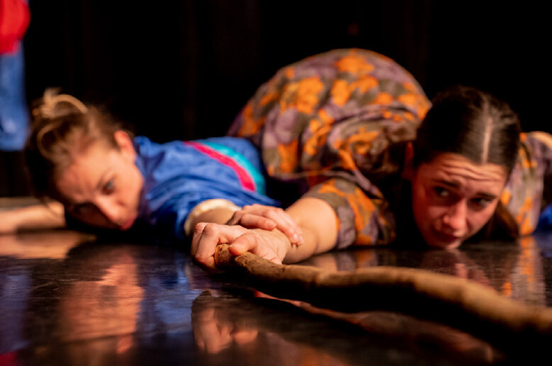 Zonardes – LABO Compagnie