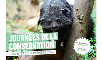 Zoo de Lille : Les journées de la conservation