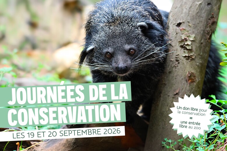 Zoo de Lille : Les journées de la conservation