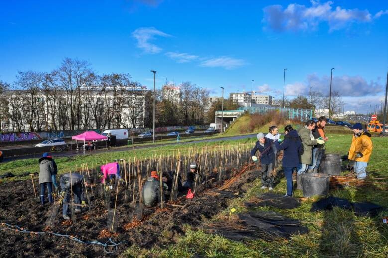 Plantation du microboisement Plaine de la Baltique. Crédit : Daniel Rapaich.