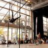 Family Circus au Grand Sud