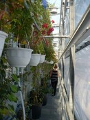 BATIMENT MODULABLE ET INNAOVANT