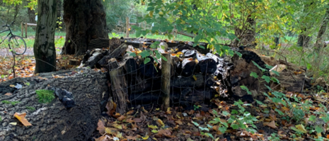 Abris pour hérissons