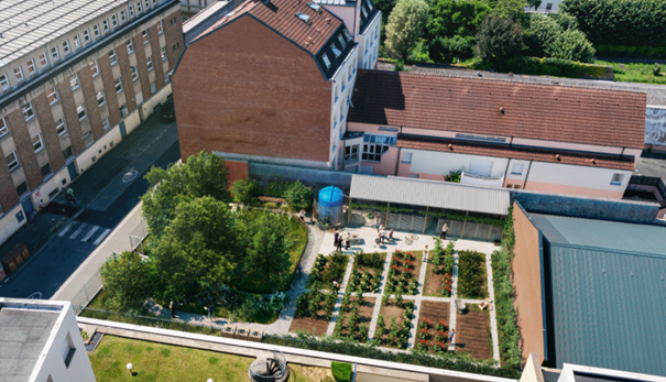 Projection jardin collectif