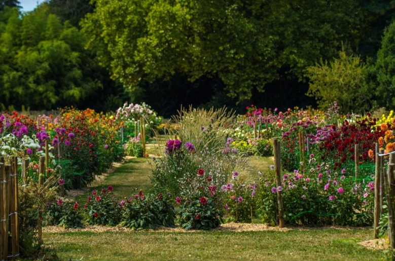 ©Camille Jan-Baudens, Août 2025