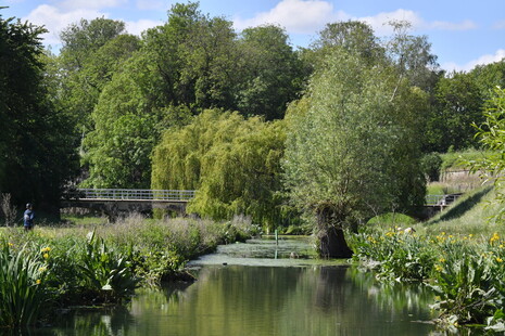 ©Daniel Rapaich Dicom ville de Lille