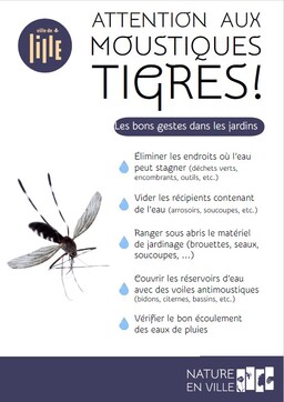 Fiche moustique tigre