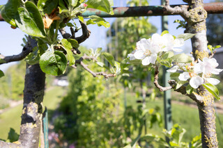 ©Guilhem Fouques Dicom ville de Lille  ©Guilhem Fouques Dicom ville de Lille