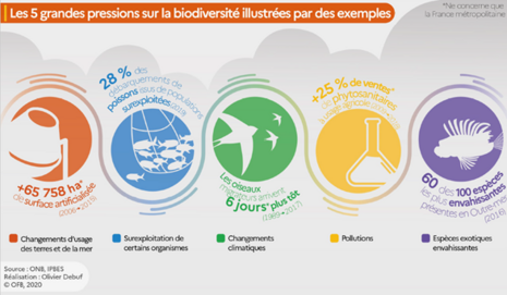 5 grandes pressions